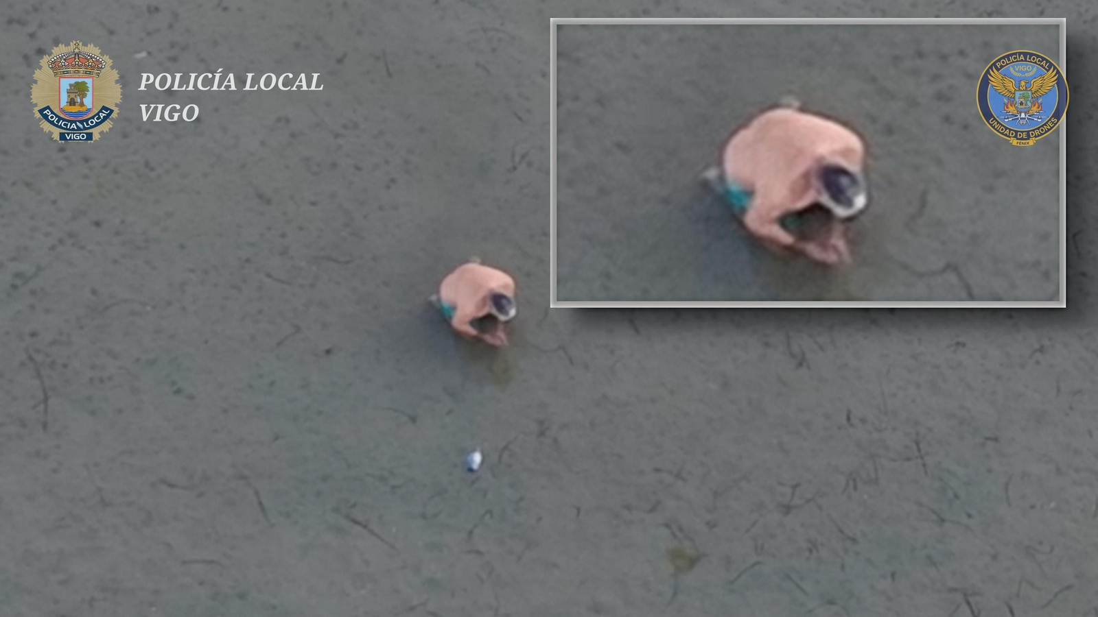 A través de un dron los agentes vieron a un hombre extrayendo bivalbos en una playa de Vigo.