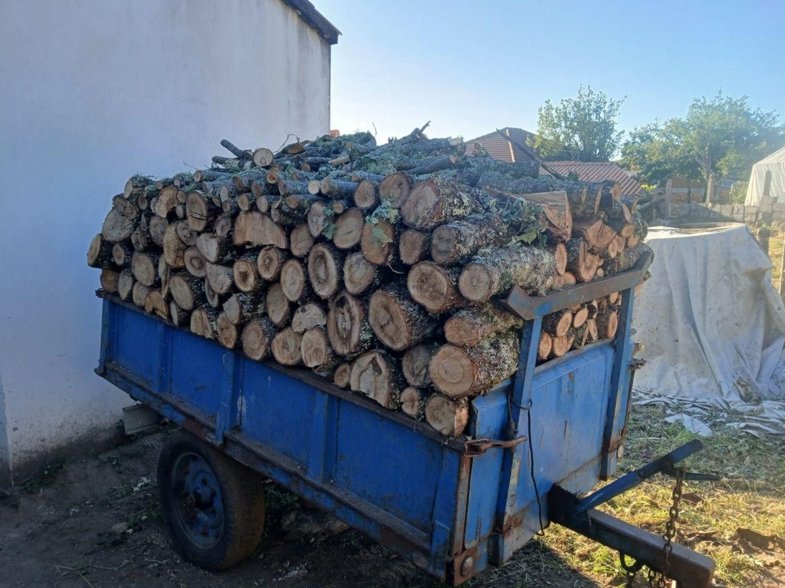 El tractor de leña cortada por los vecinos que se sorteará este año.