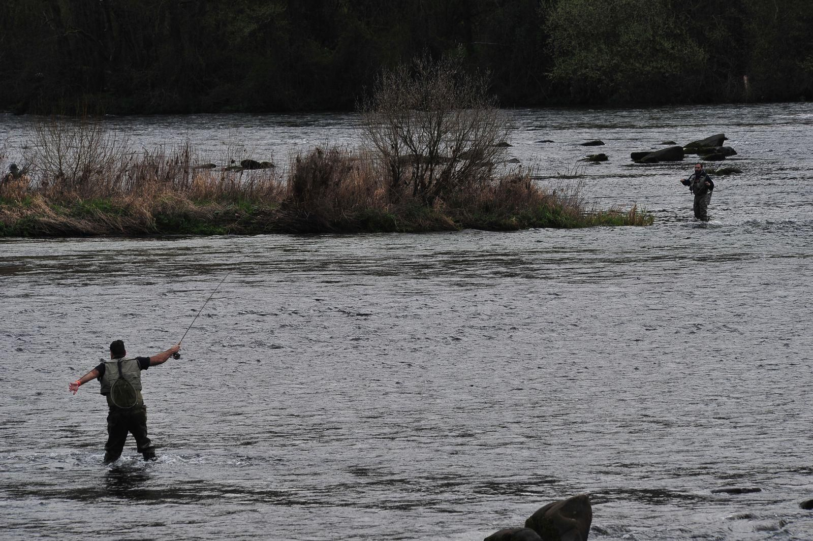 Primera jornada de pesca fluvial en el Miño (JOSÉ PAZ)