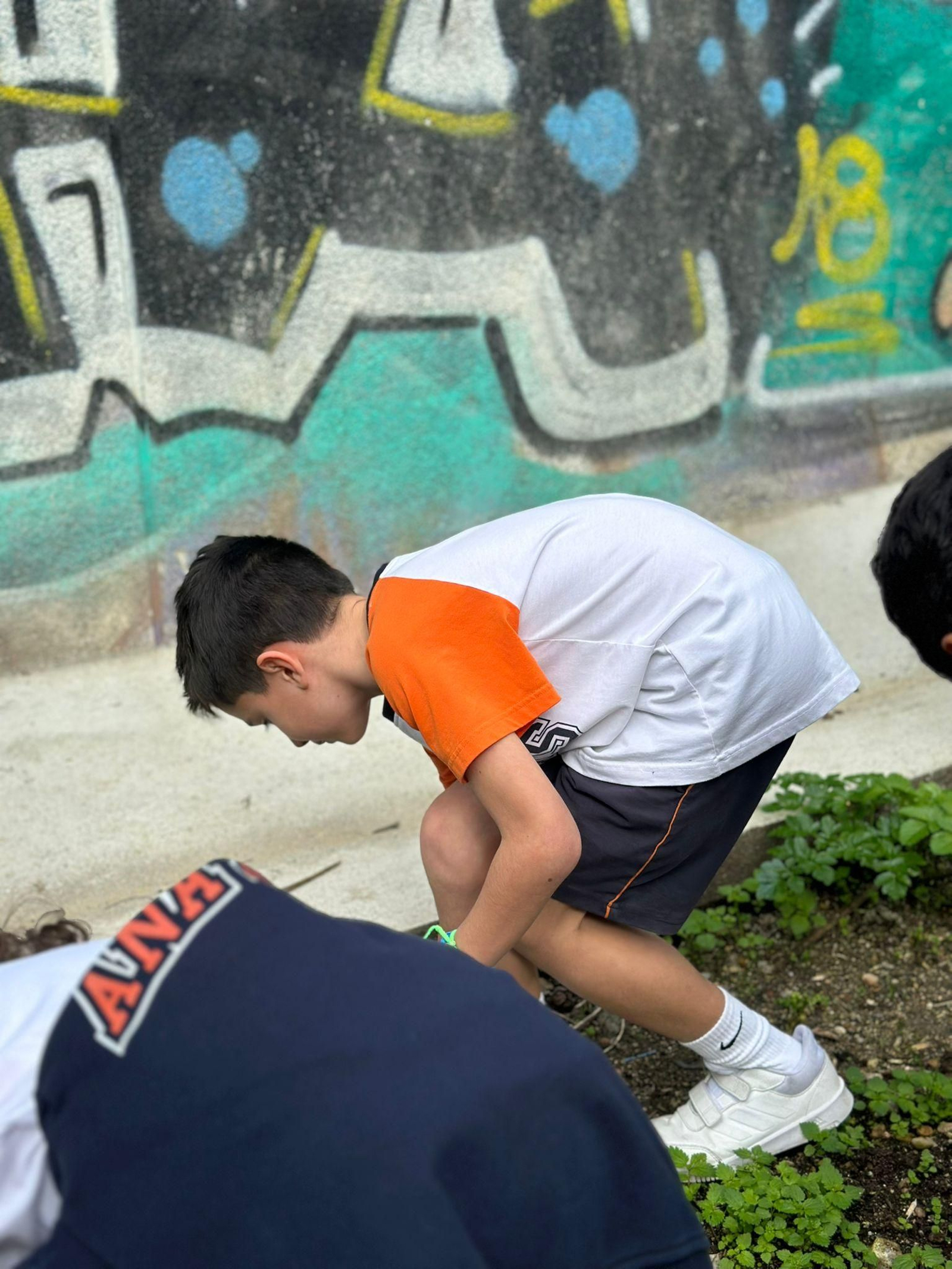 Actividad de Ecovigilantes