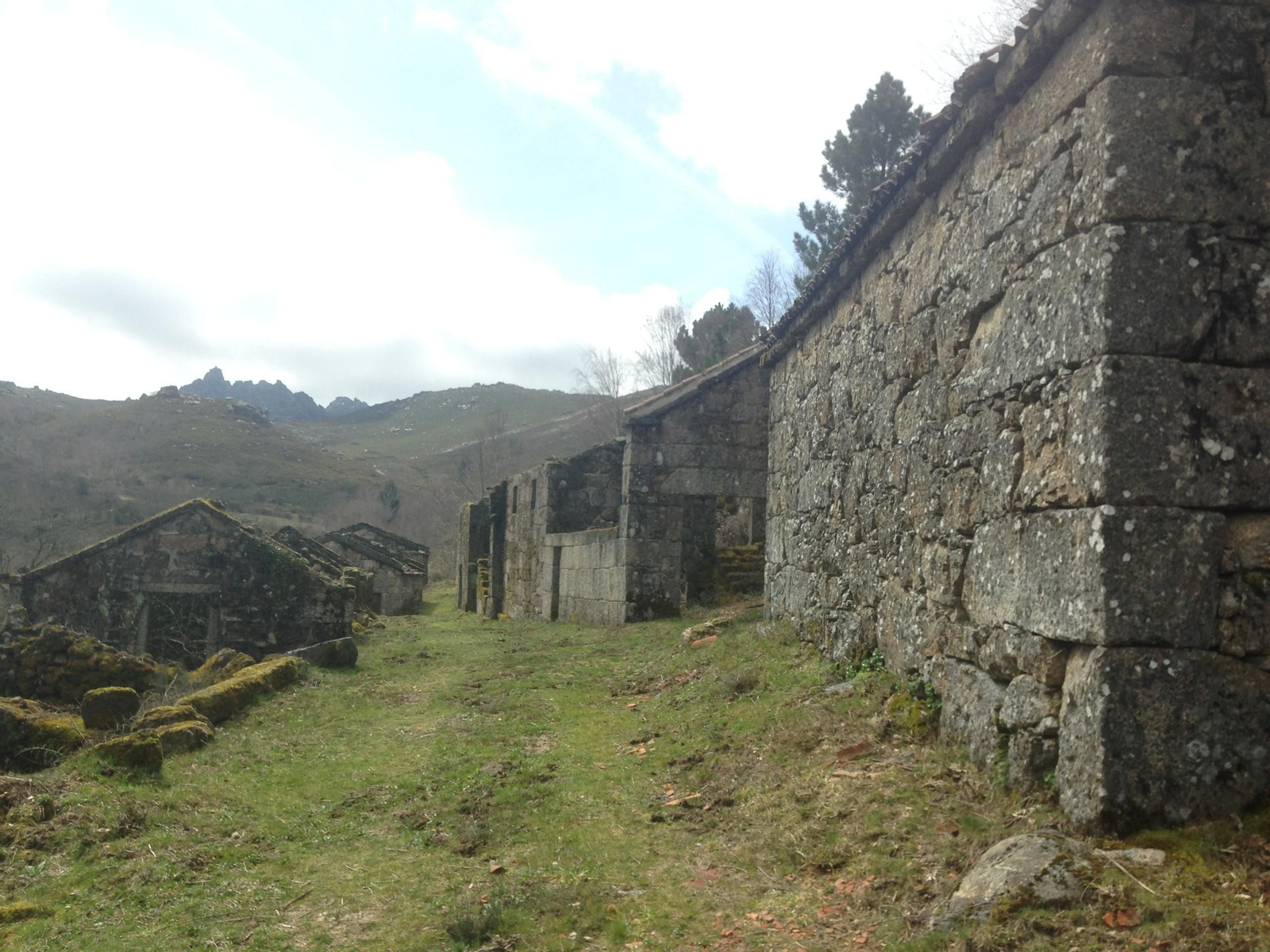 Salgueiros 2