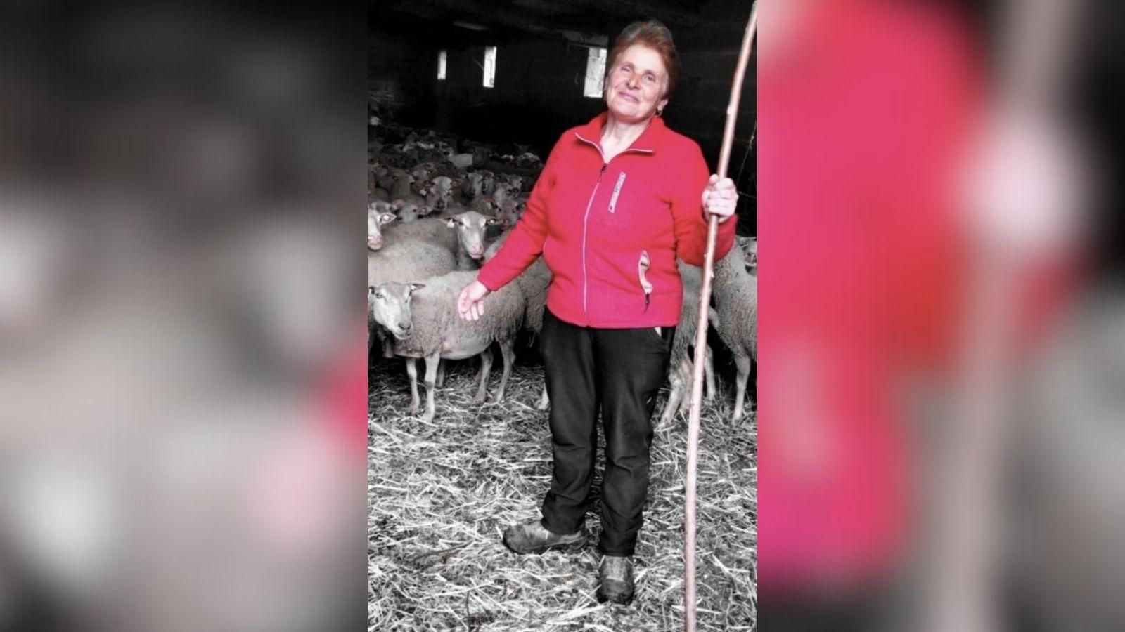 Elvira Pérez Vilanova leva dende 1994 cunha explotación con 190 ovellas.