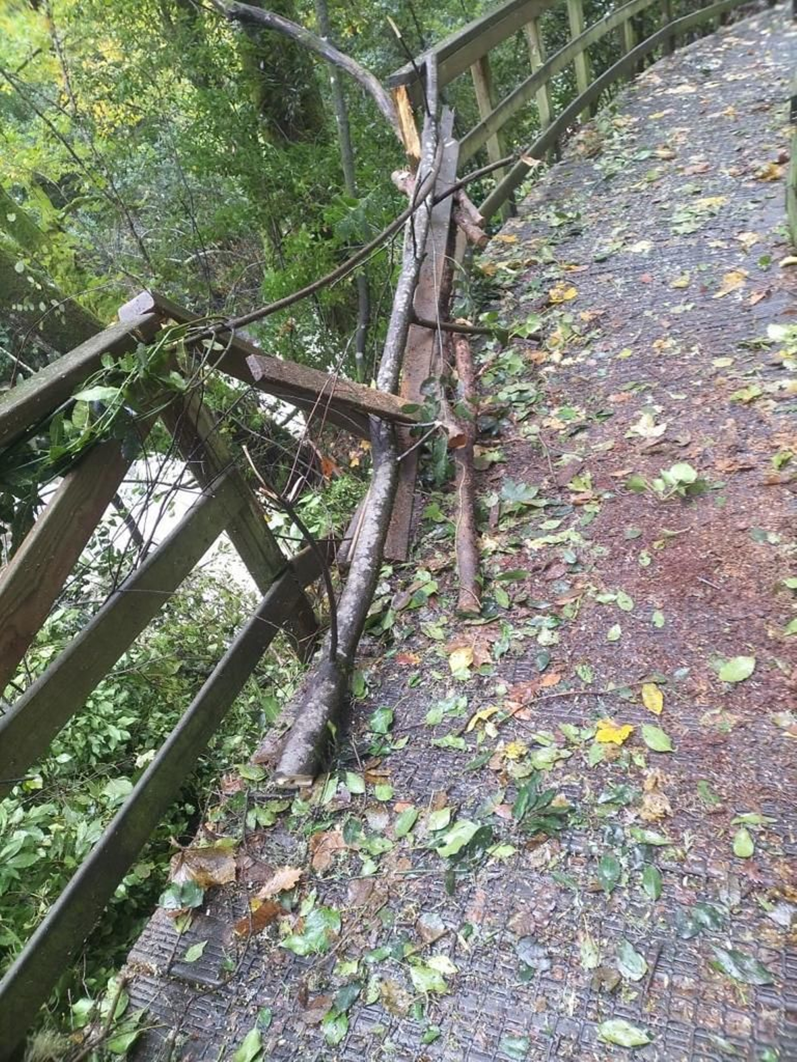 Destrozos de Domingos