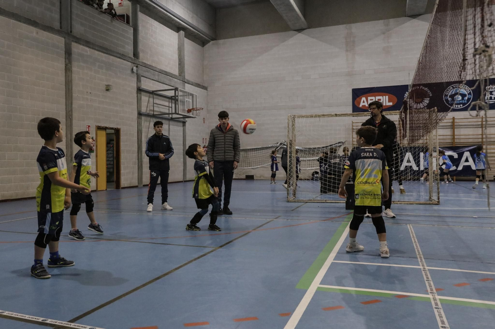 Galería | Voleibol, en fotos