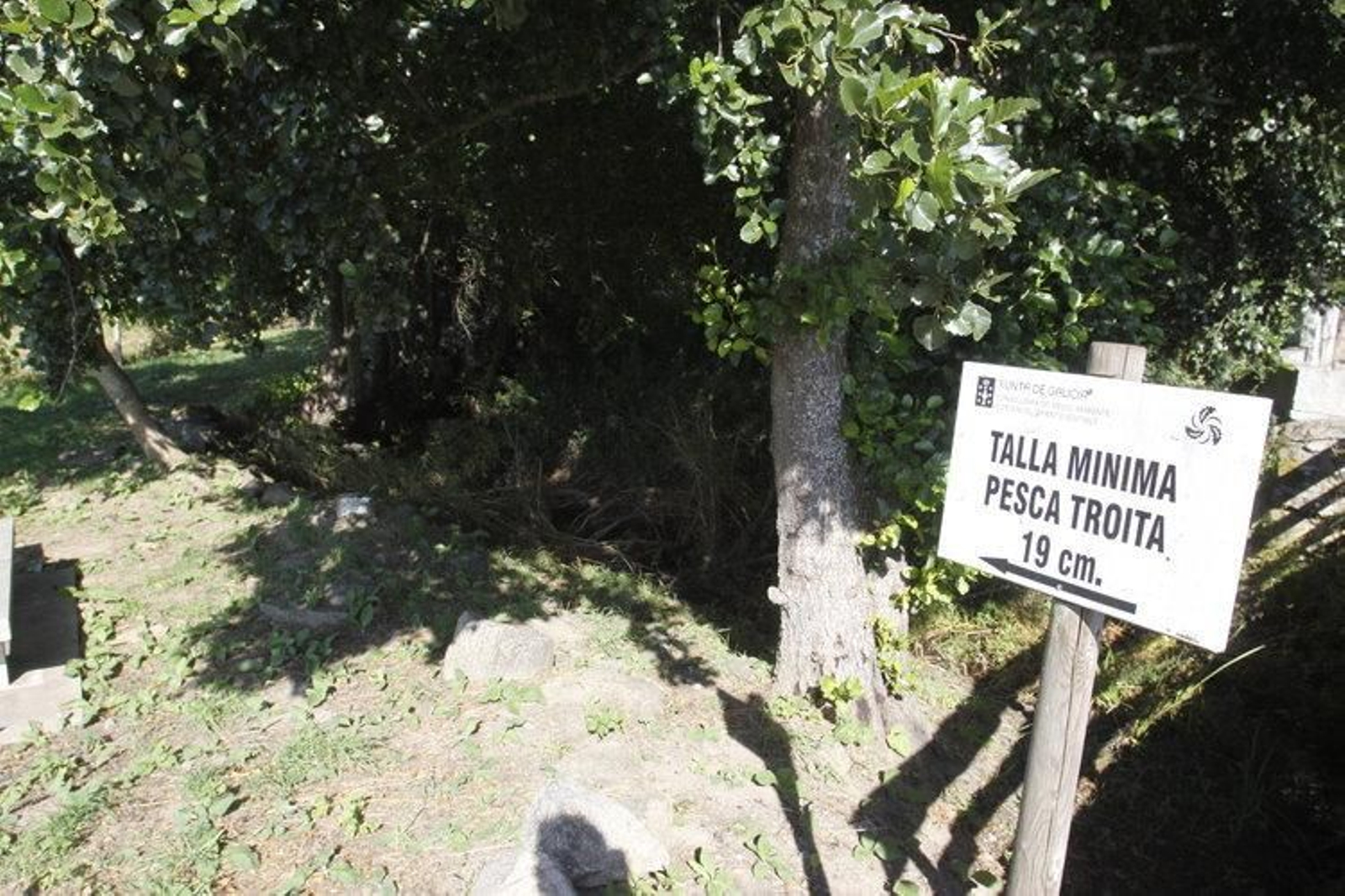 Zona acotada de pesca en el pueblo de Loiro (Barbadás). El agua contiene arsénico, según el Concello (MARCOS ATRIO)