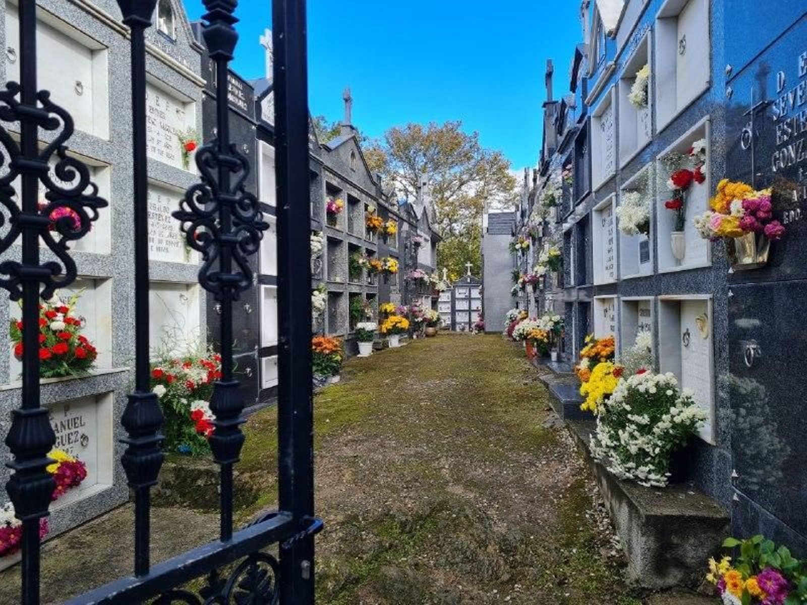 Cementerio de Manzaneda esta mañana festiva. // R,M.