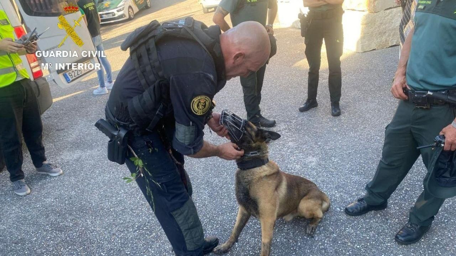 Participa en el operativo de búsqueda un perro de rastreo del Grupo de Reserva y Seguridad (GRS)