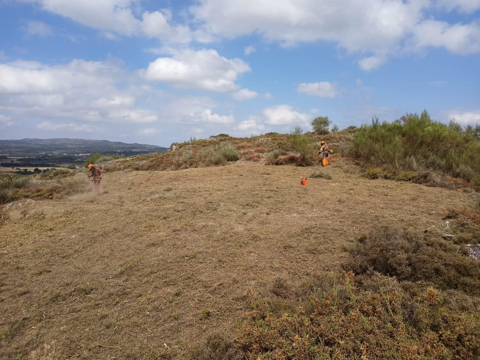 Este lunes se iniciaron las tareas de limpieza y desbroce de este entorno.