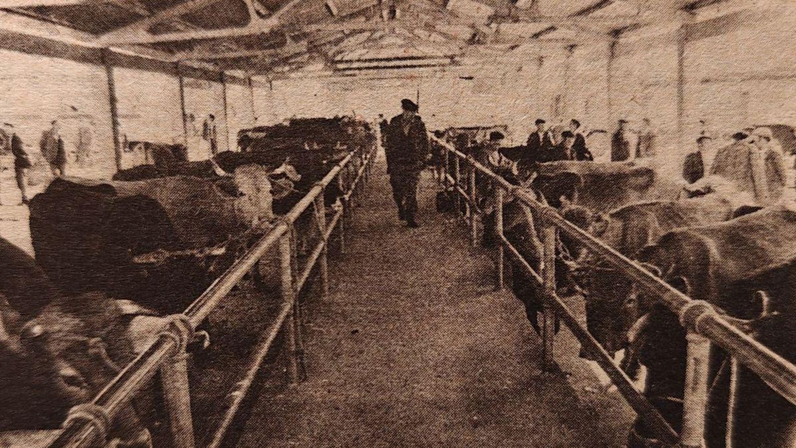 Unha feira desanimada en Ourense.