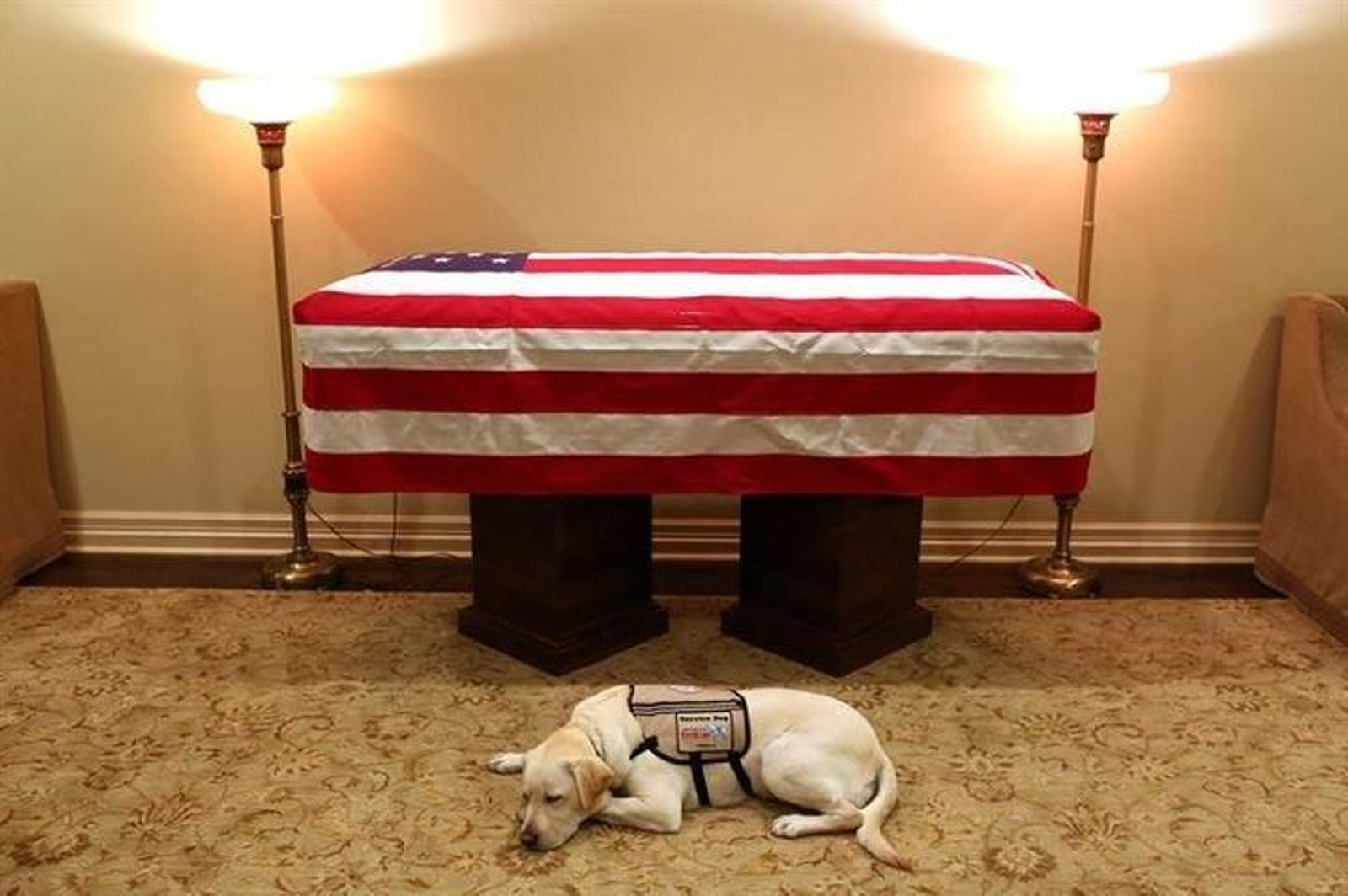 Sully, la mascota de George H.W. Bush.