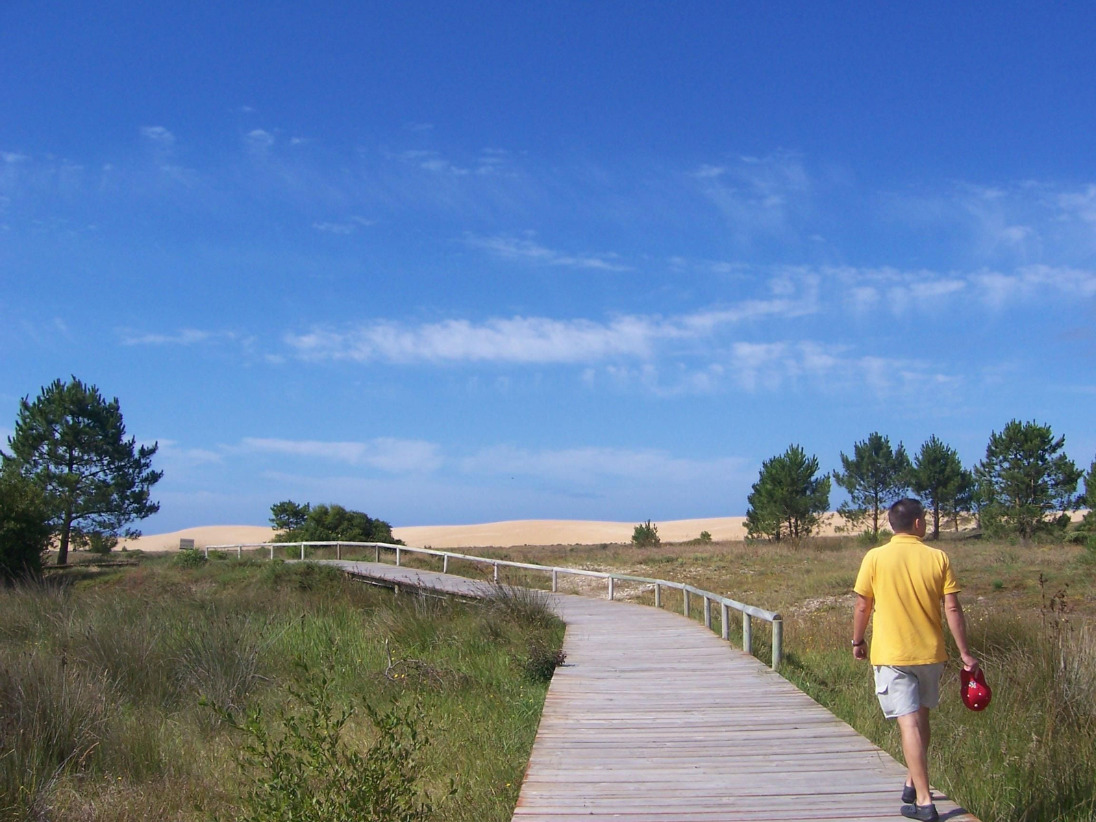 Susi Alvarez Sanmartín