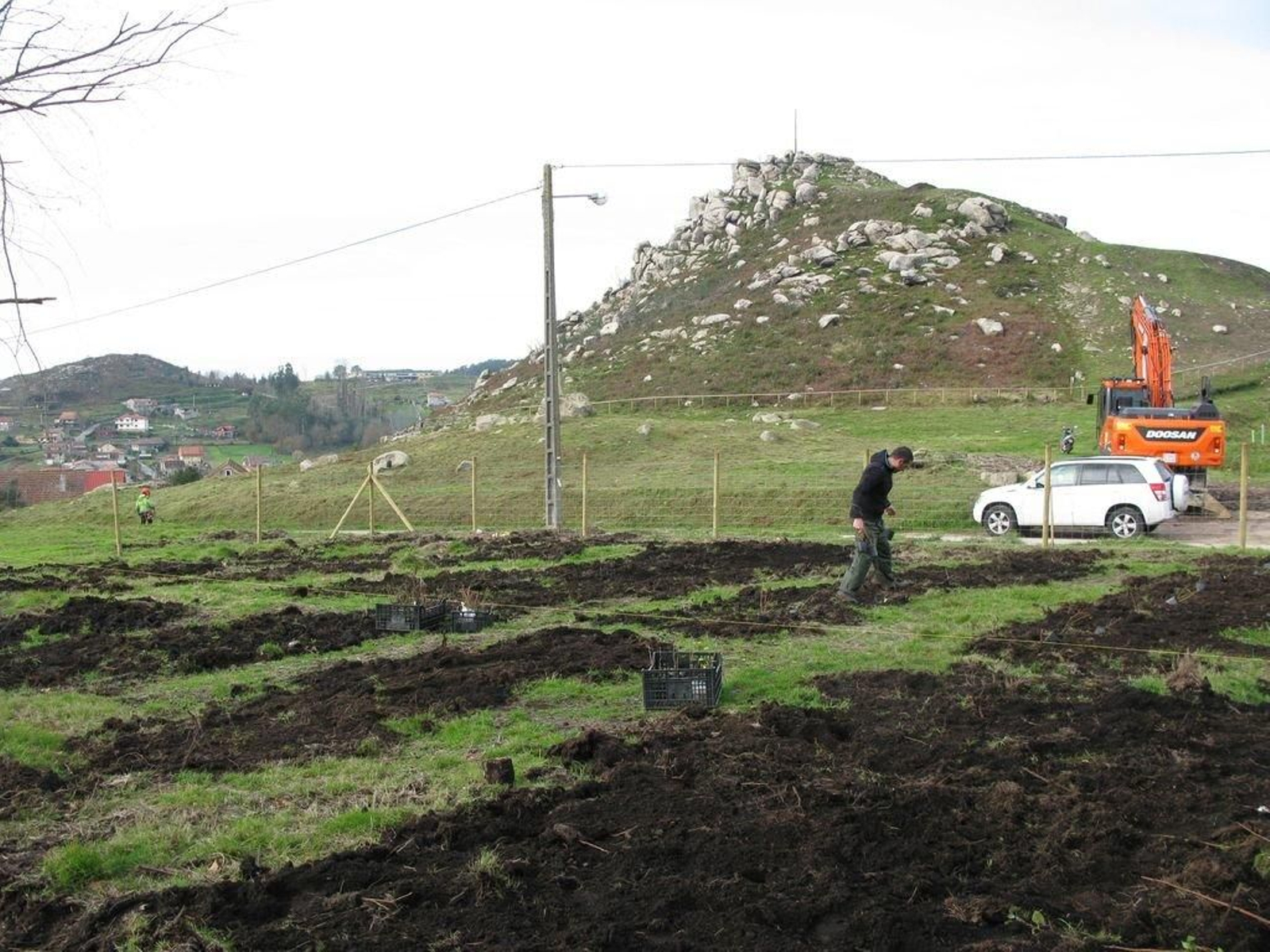 La zona quemada que ha sido preparada para frutos del bosque, en Chandebrito.