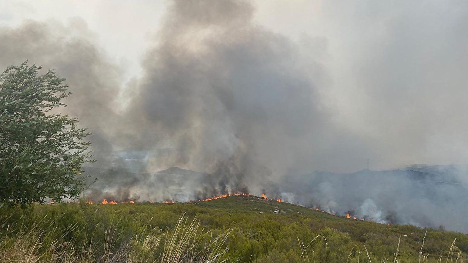 WhatsApp Image 2020-09-14 at 21.08.46