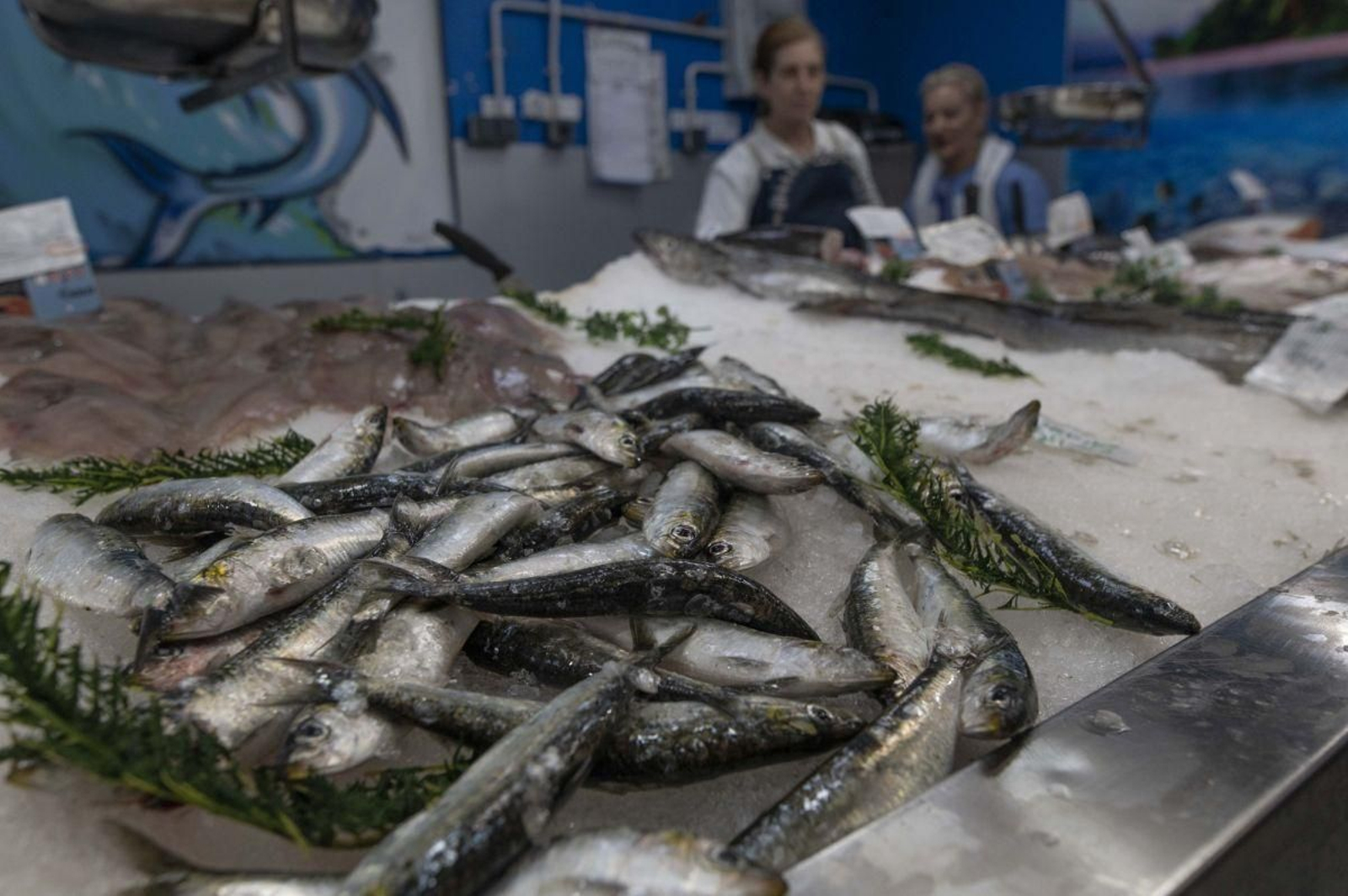 Sardinas en una pescadería de la Plaza de Abastos, ayer por la mañana.