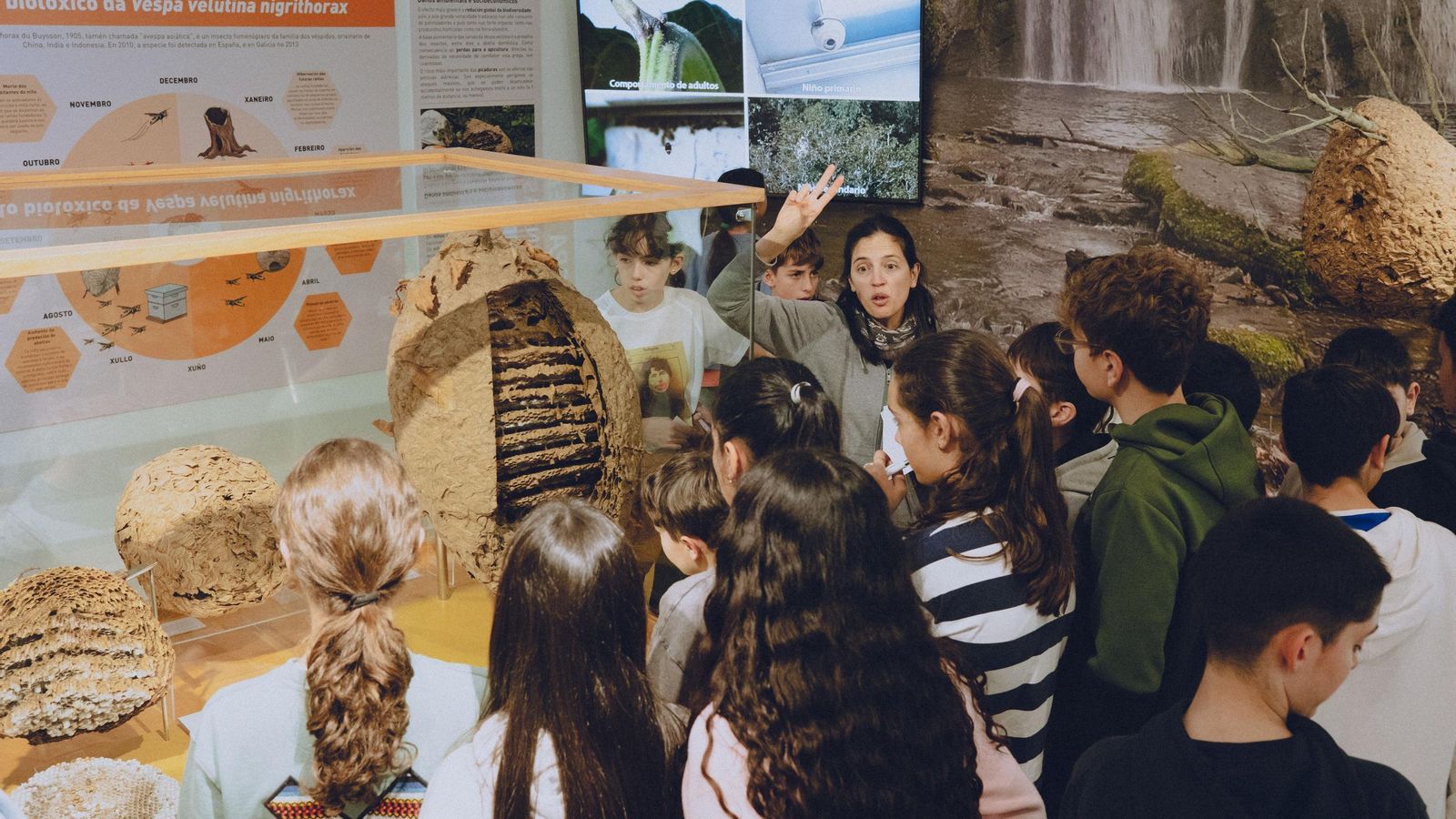 Visita do IES Xermán Ancochea a Santiago de Compostela