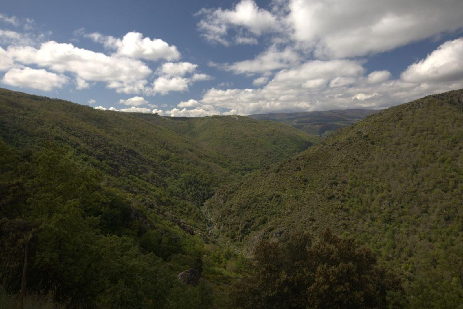 Val do Bibei.