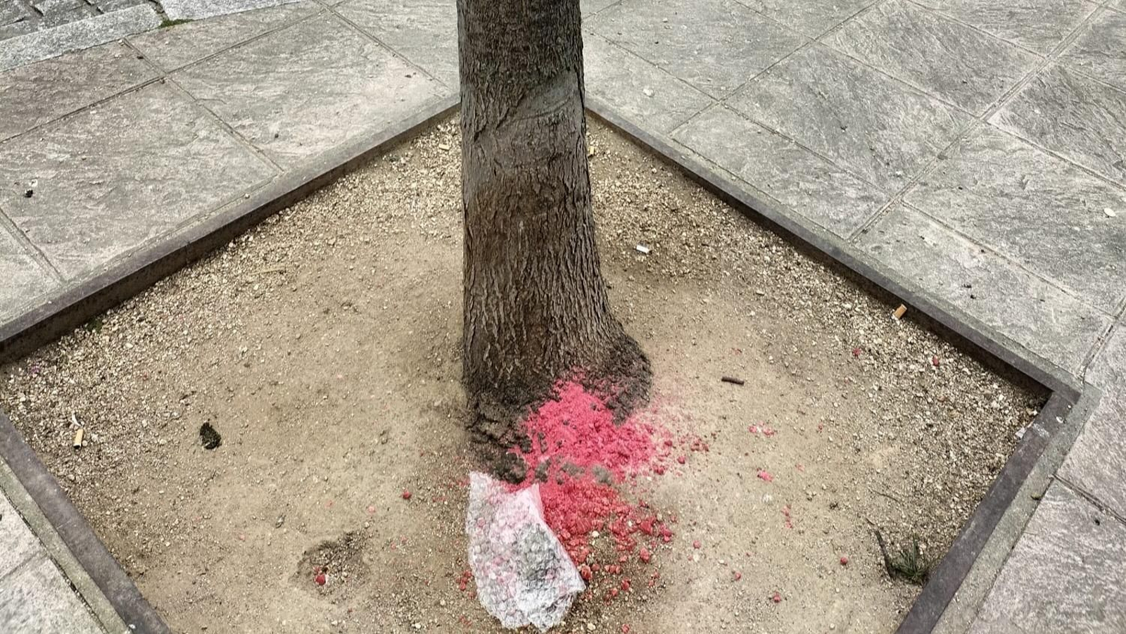 El veneno en O Vinteún.