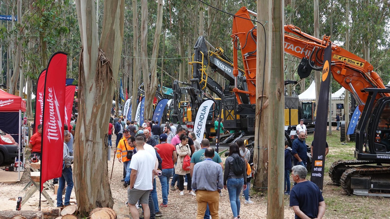 Vista da Feira Galiforest Abanca 2024