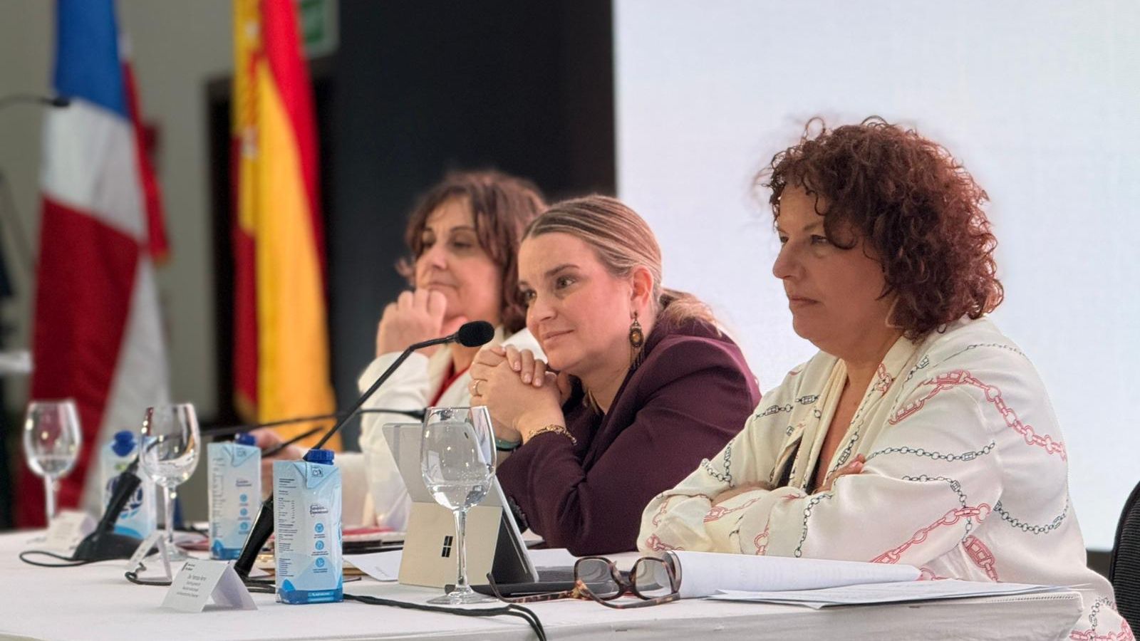 La presidenta escuchando las intervenciones del Pleno