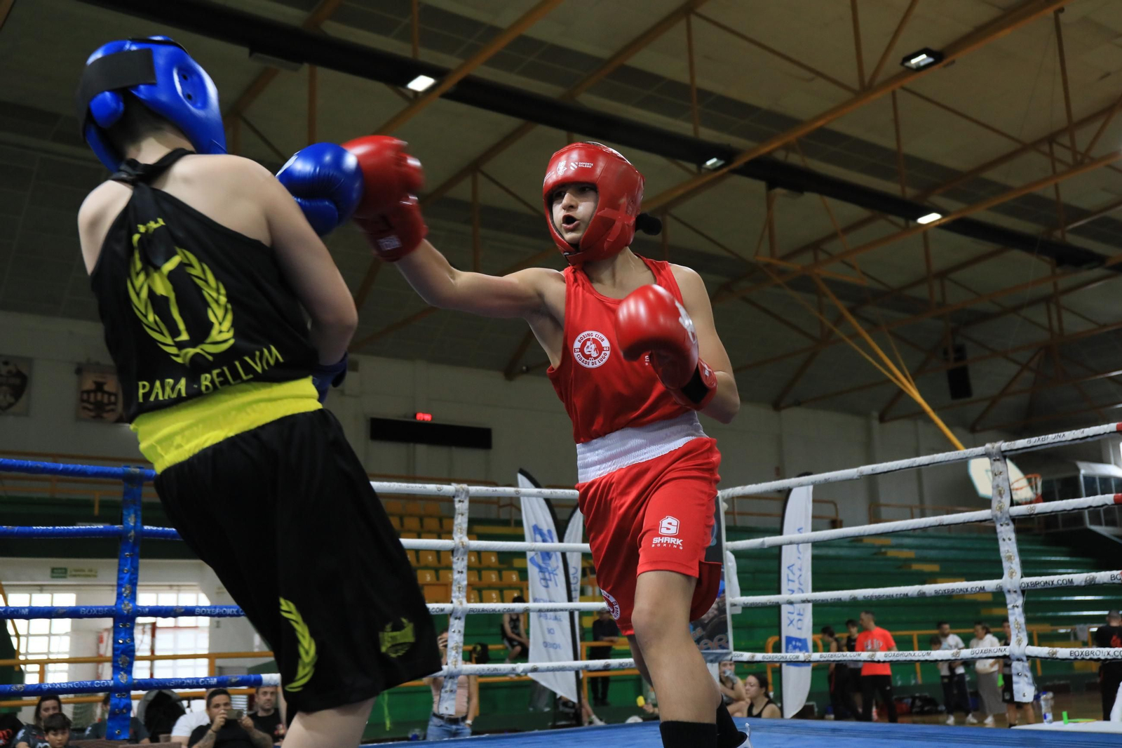 Galería | Verín disfruta de su primer Open de Boxeo