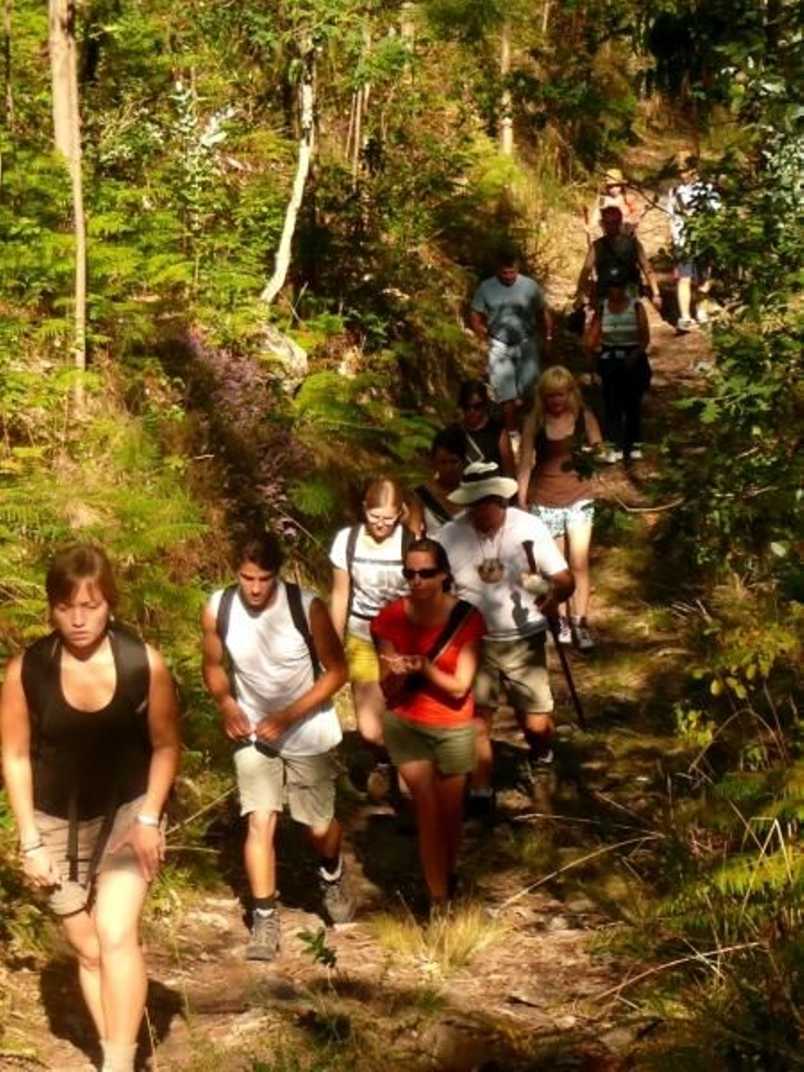 Atravesaron los montes de varias parroquias. Foto: luis blanco