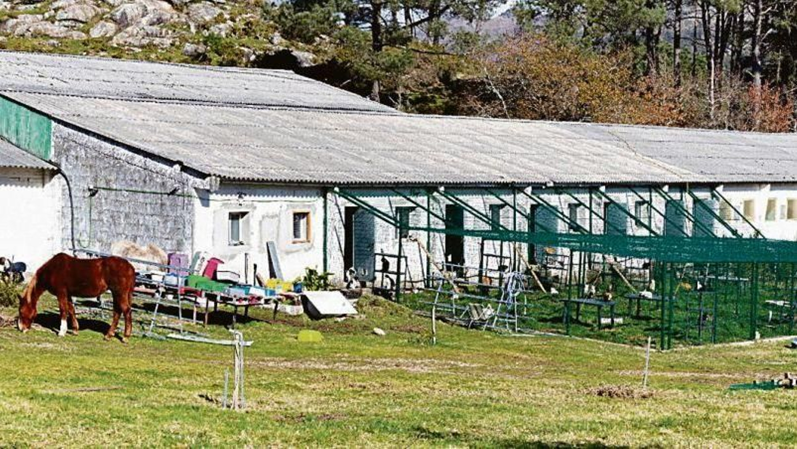 Proyecto Gato cuenta con una nave en el municipio de Gondomar donde aloja a los gatos.