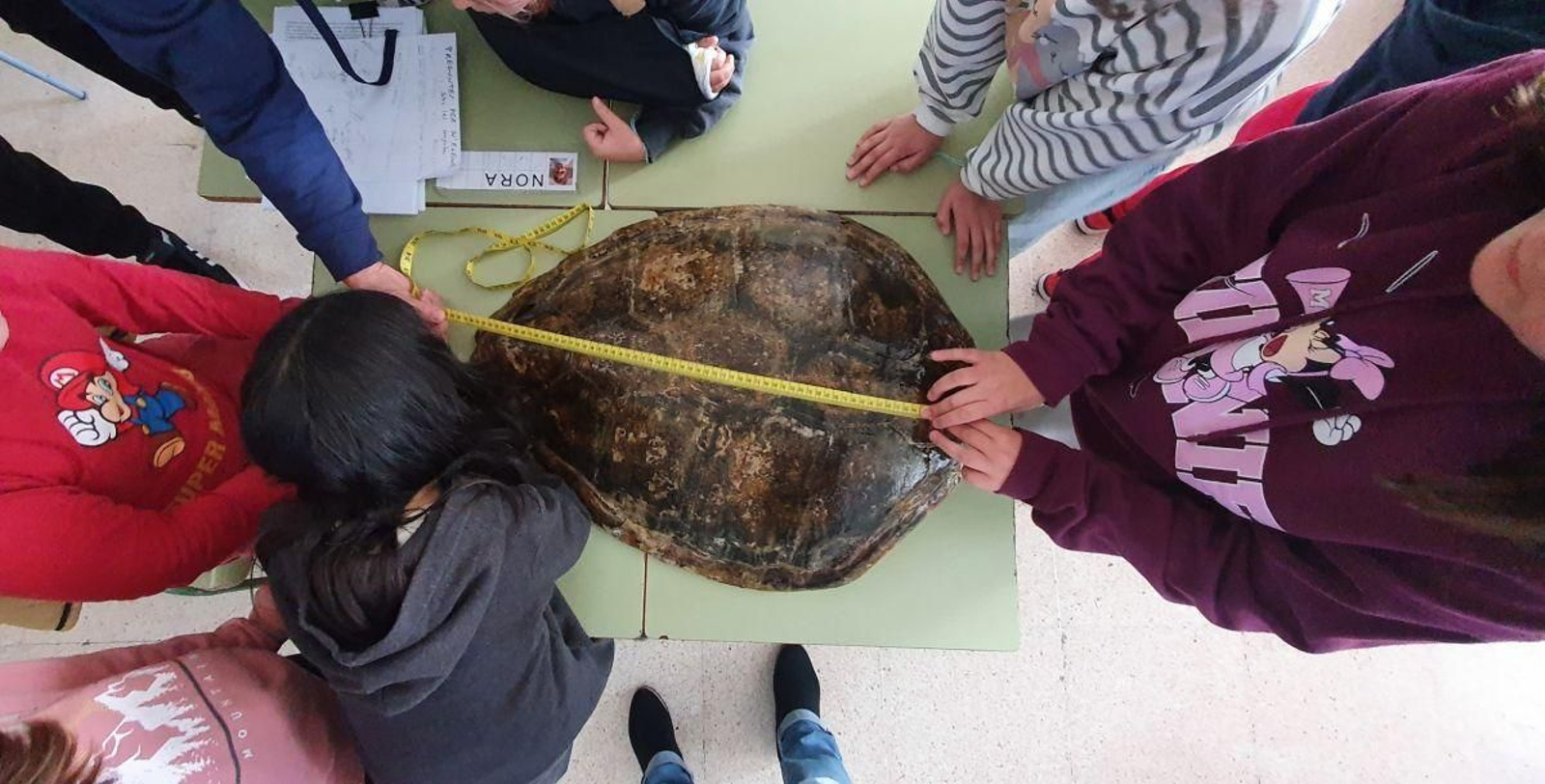 Una imagen de las actividades del año pasado durante el Día de la Niña y la Mujer en la Ciencia.