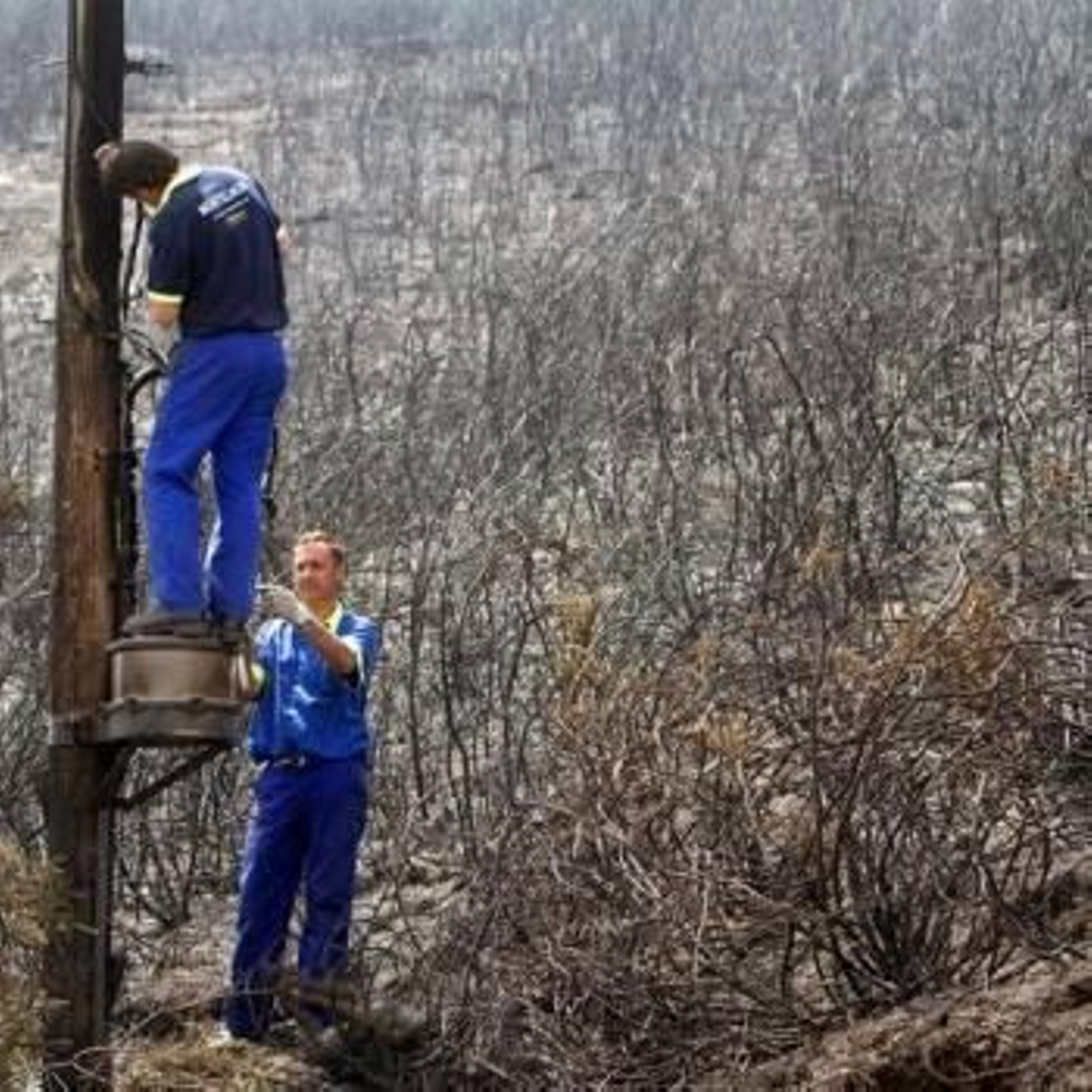 Unos operarios tratan de restablecer la comunicación telefónica en uno de los lugares afectados por el incendio declarado en la localidad pontevedresa de La Cañiza. Foto: EFE
