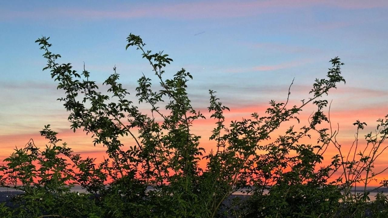 Galería | Los días más largos en Vigo regalan espectaculares puestas de sol