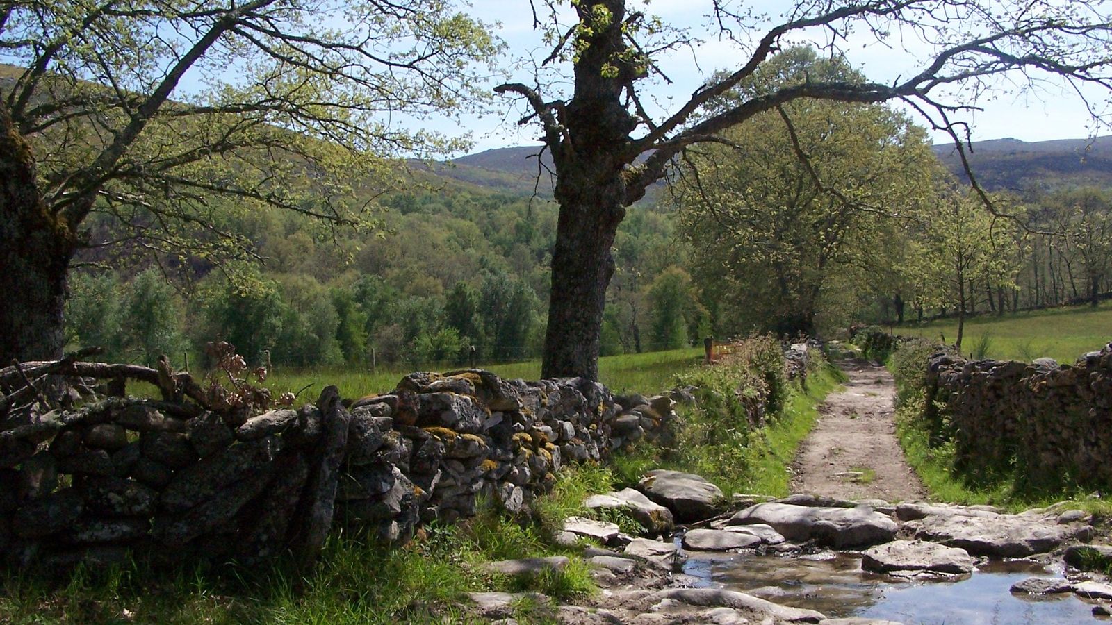 Camiño da serra