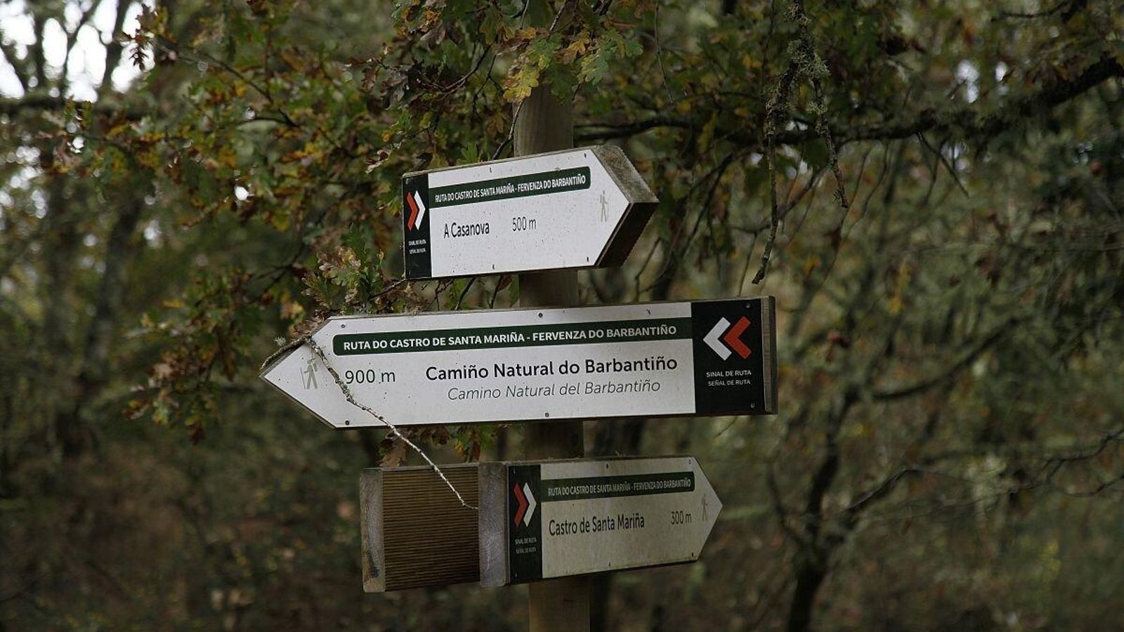 Inicio de varias rutas del municipio.