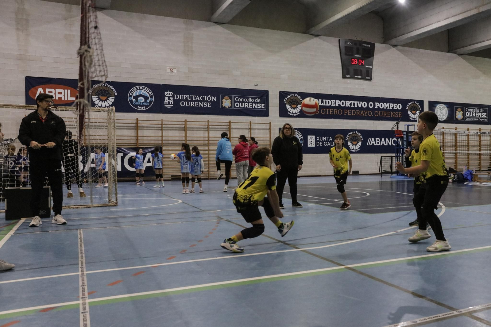 Galería | Voleibol, en fotos