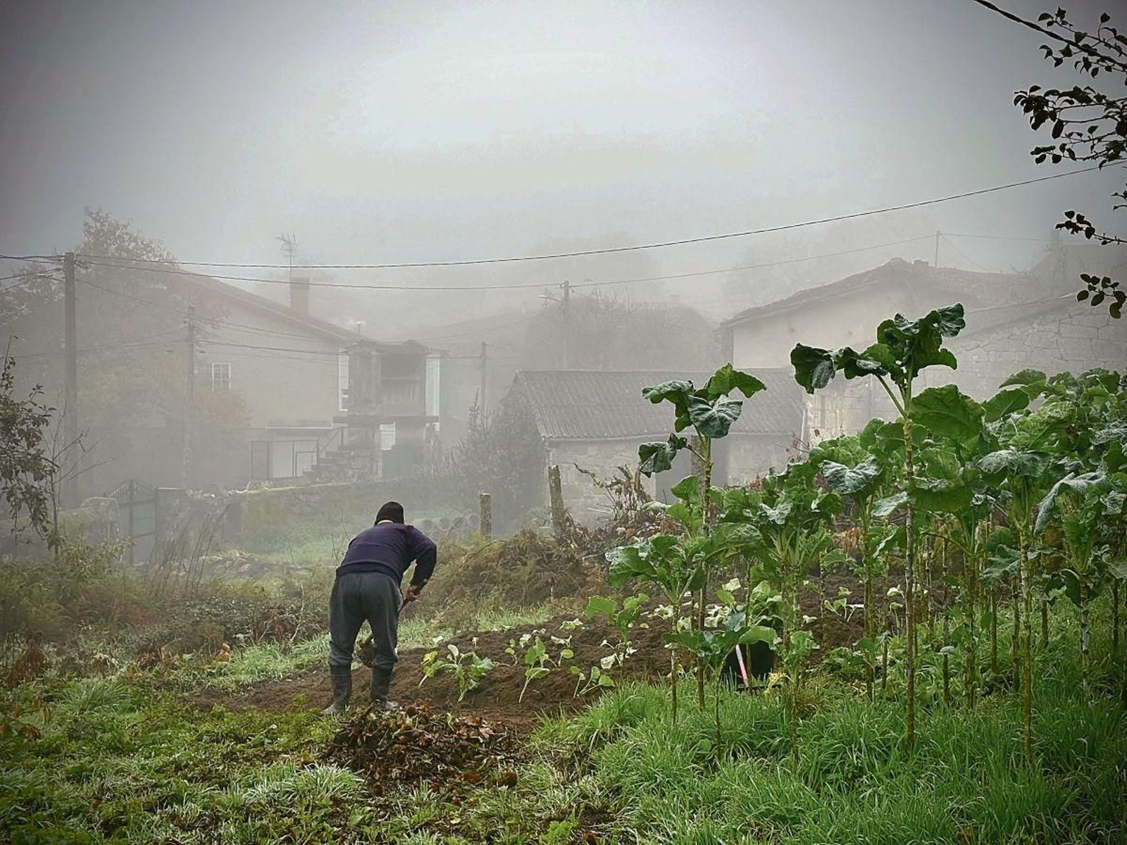 Vilarnaz, el núcleo de población, afectado por el quiebre en la convivencia