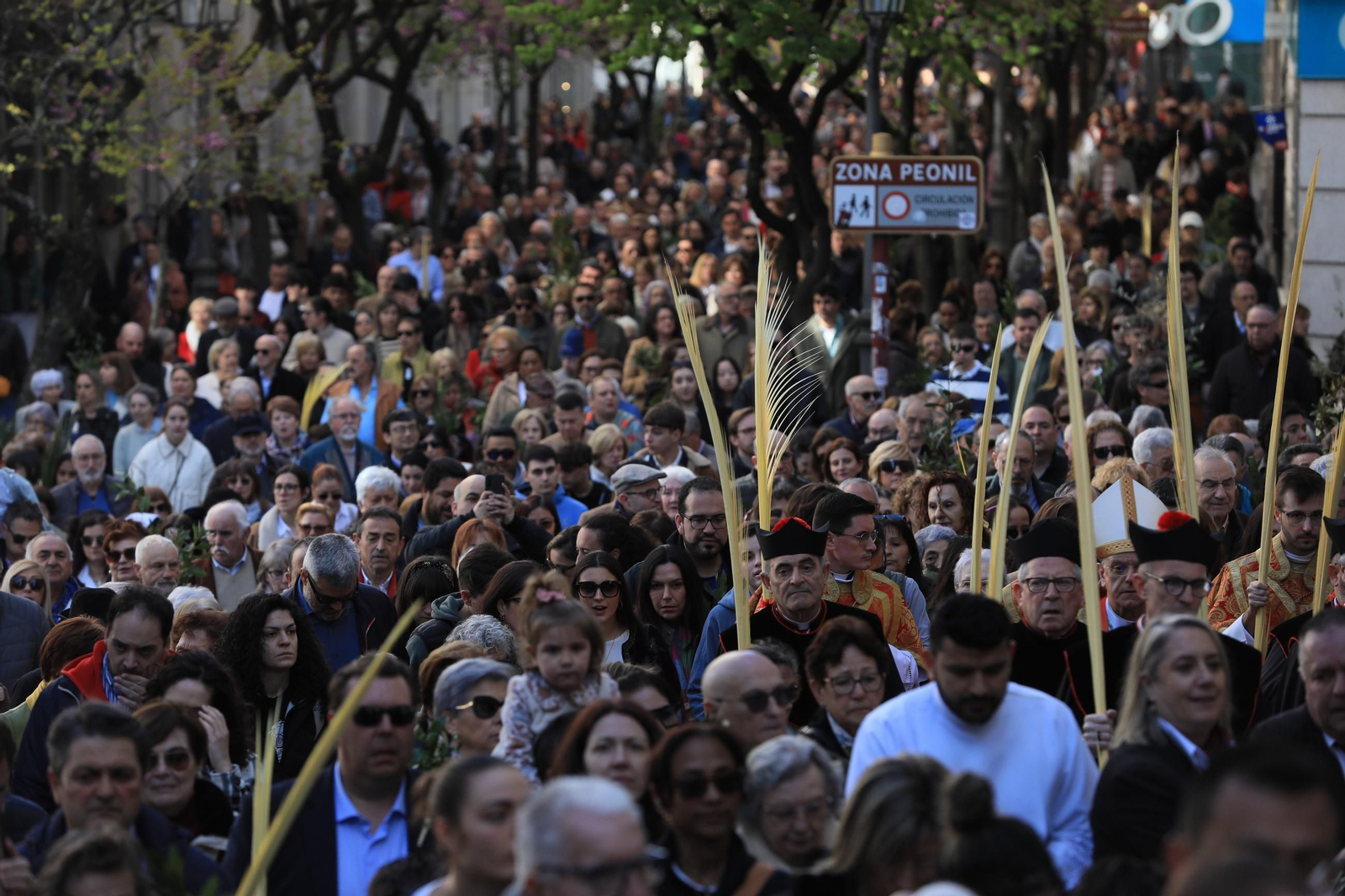 Galería | La procesión de la Borriquita marca el Domingo de Ramos en Ourense