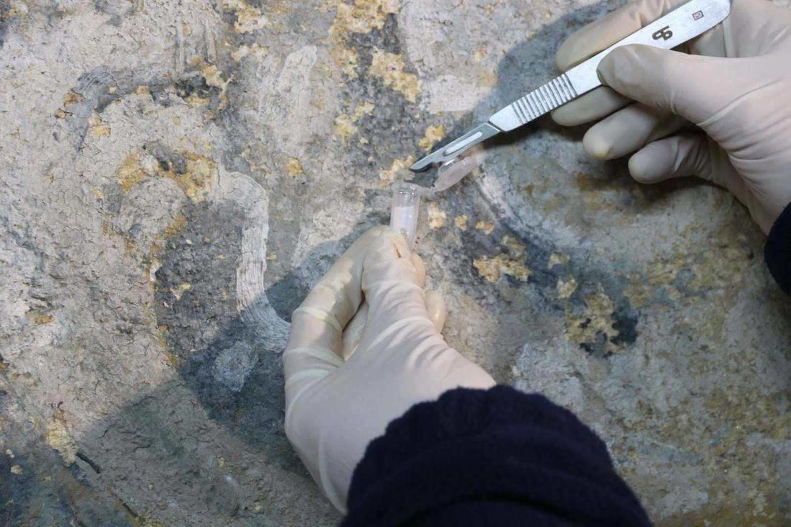 Trabajos de restauración en el mural de la iglesia Santa María la Real de Oseira.