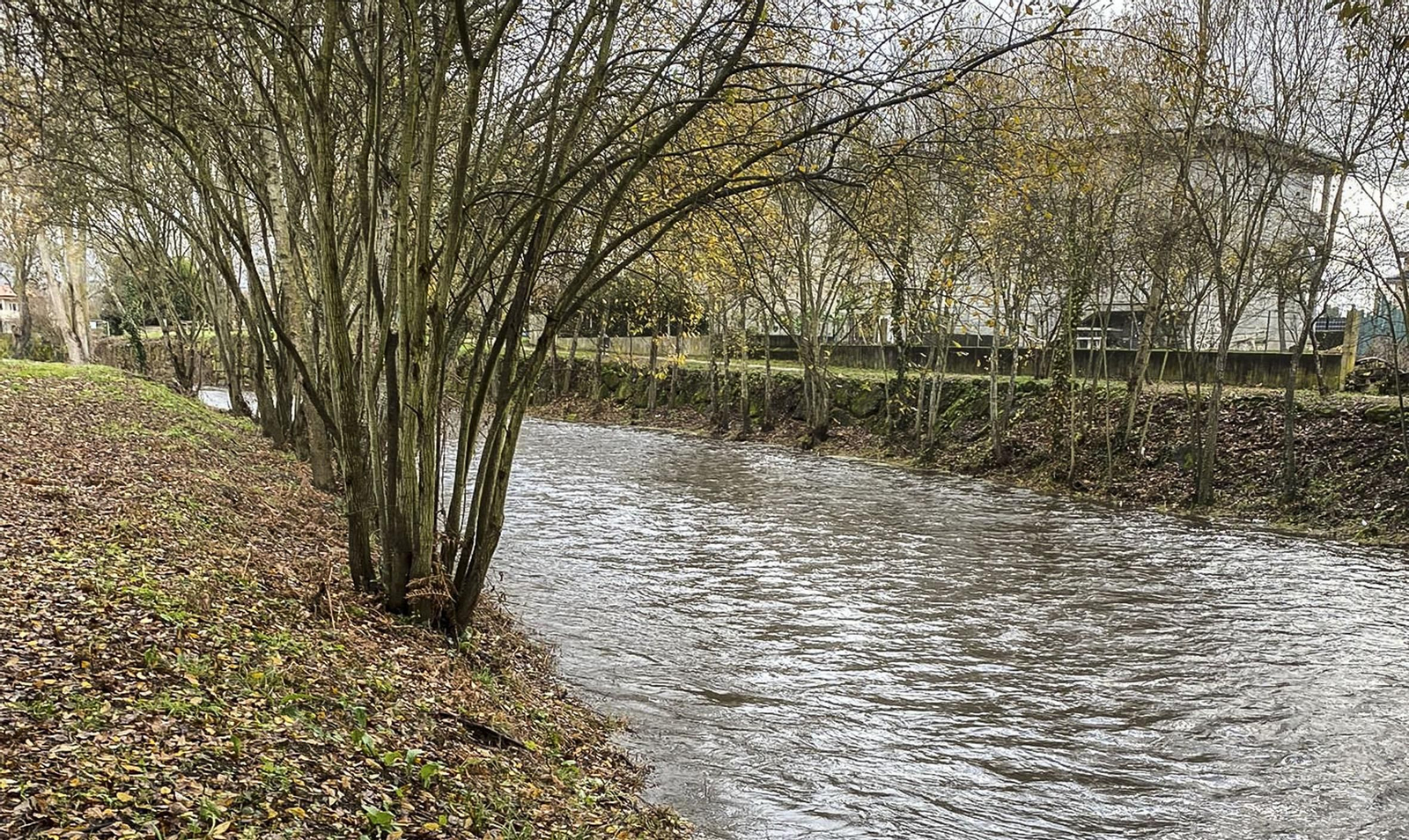 Un tramo del Támega limpio.