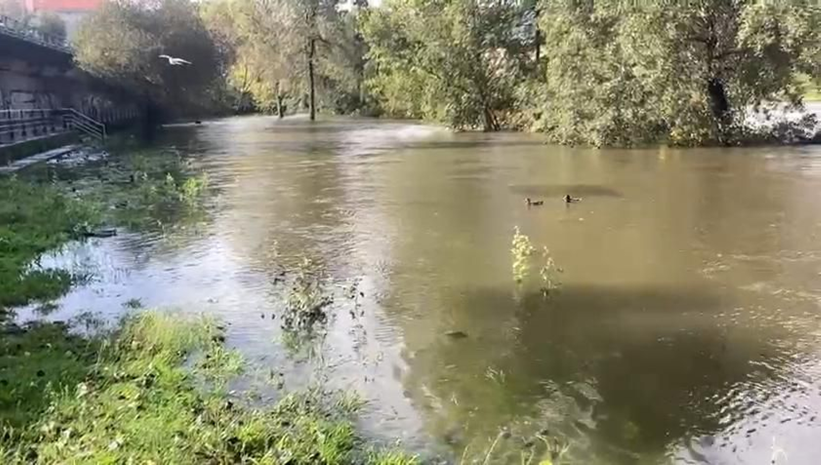 Río Miño a su paso por Ourense