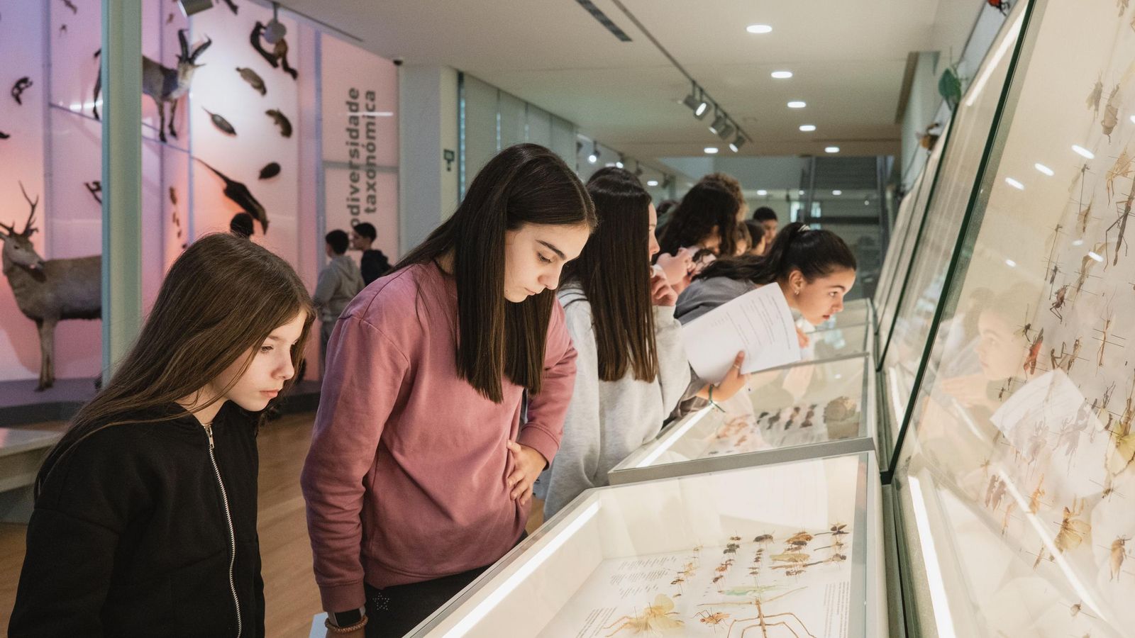 Visita do IES Xermán Ancochea a Santiago de Compostela