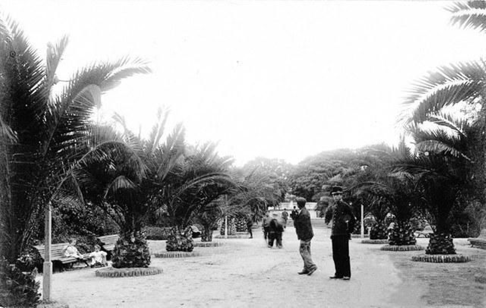 Paseo de las Palmeras, el Posío