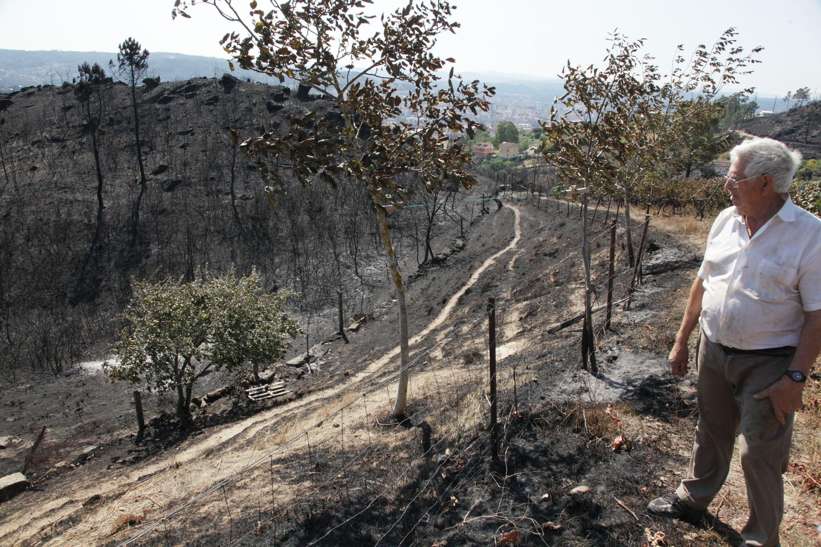 Eiroás/Cudeiro. 5-09-2015. El día después del incendio de Cudeiro. Paz