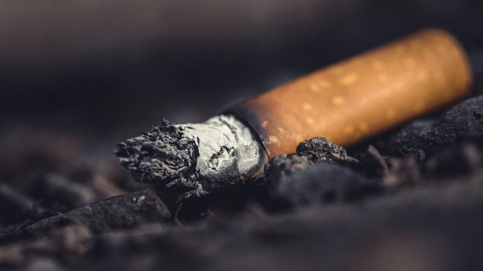Un cigarillo apagado. (Foto: Unsplash) tabaco