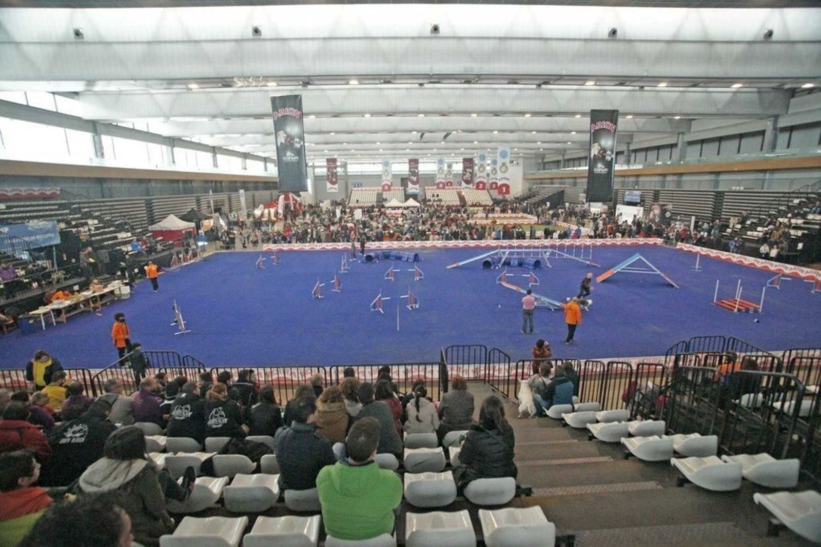 Exposición Canina en el Ifevi Foto Vicente01