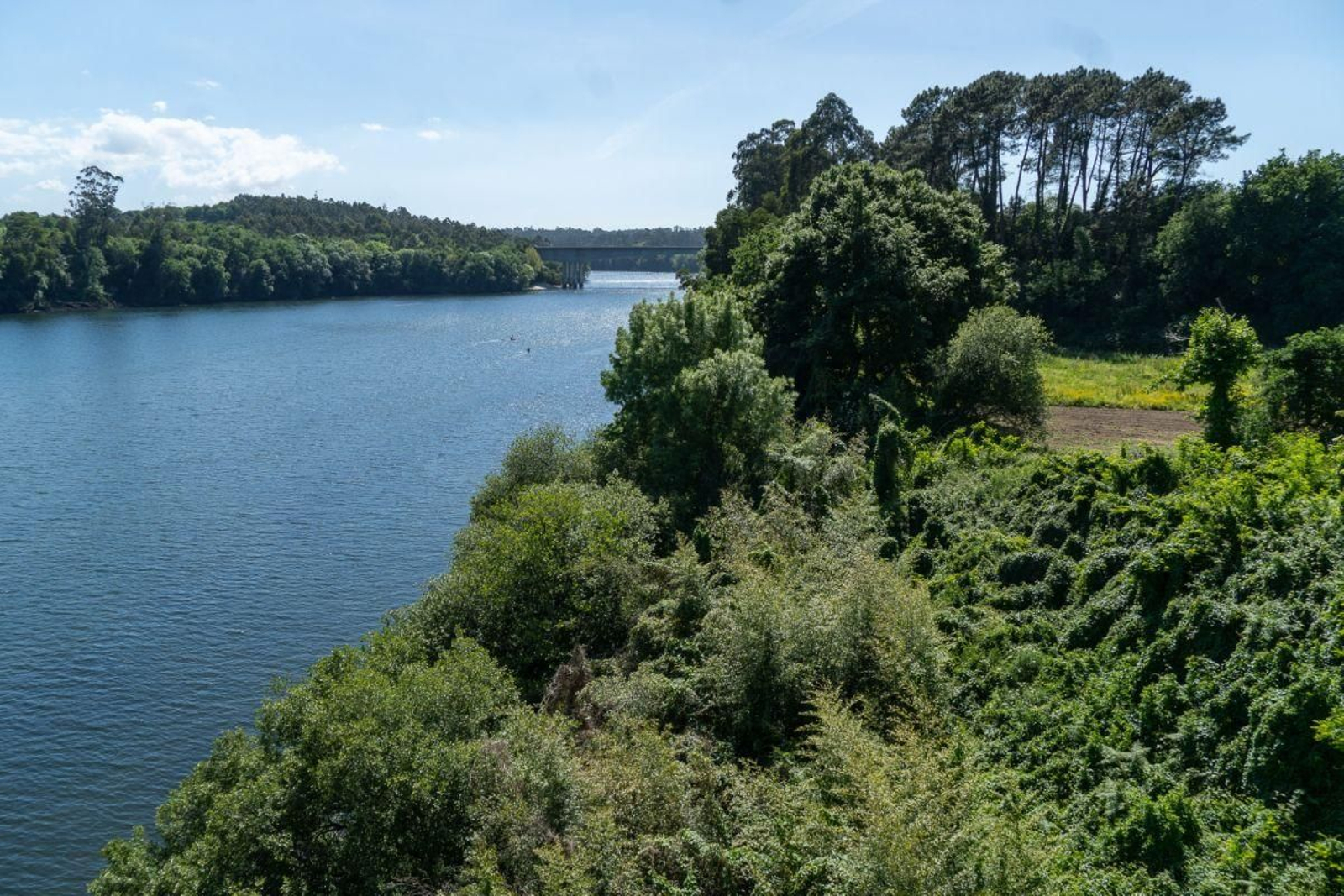 El nuevo tramo de la senda del Miño transcurrirá de forma paralela al curso del río.