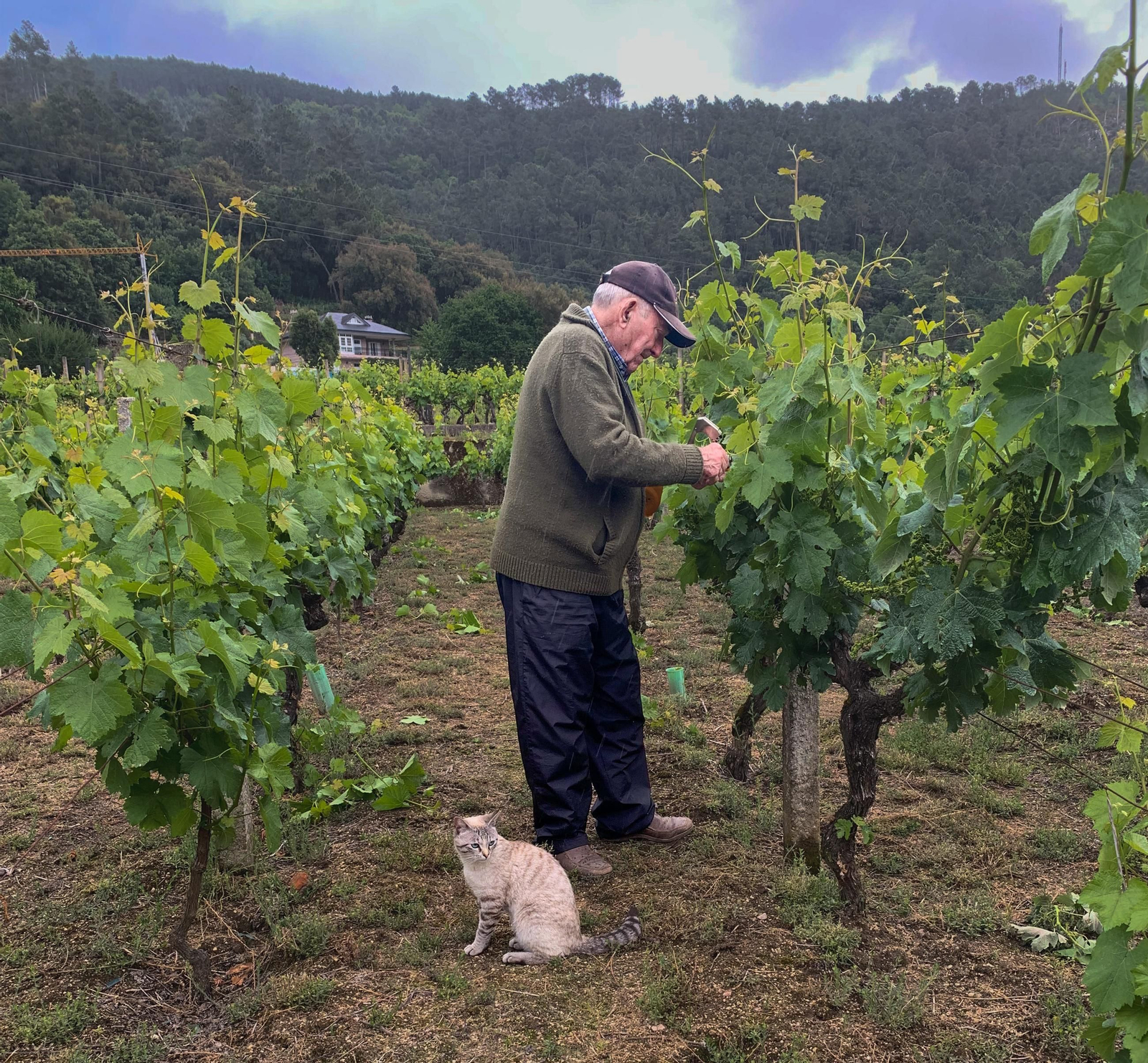 Hermelindo Fernández Pérez - O meu heroe entre vides e bigotes