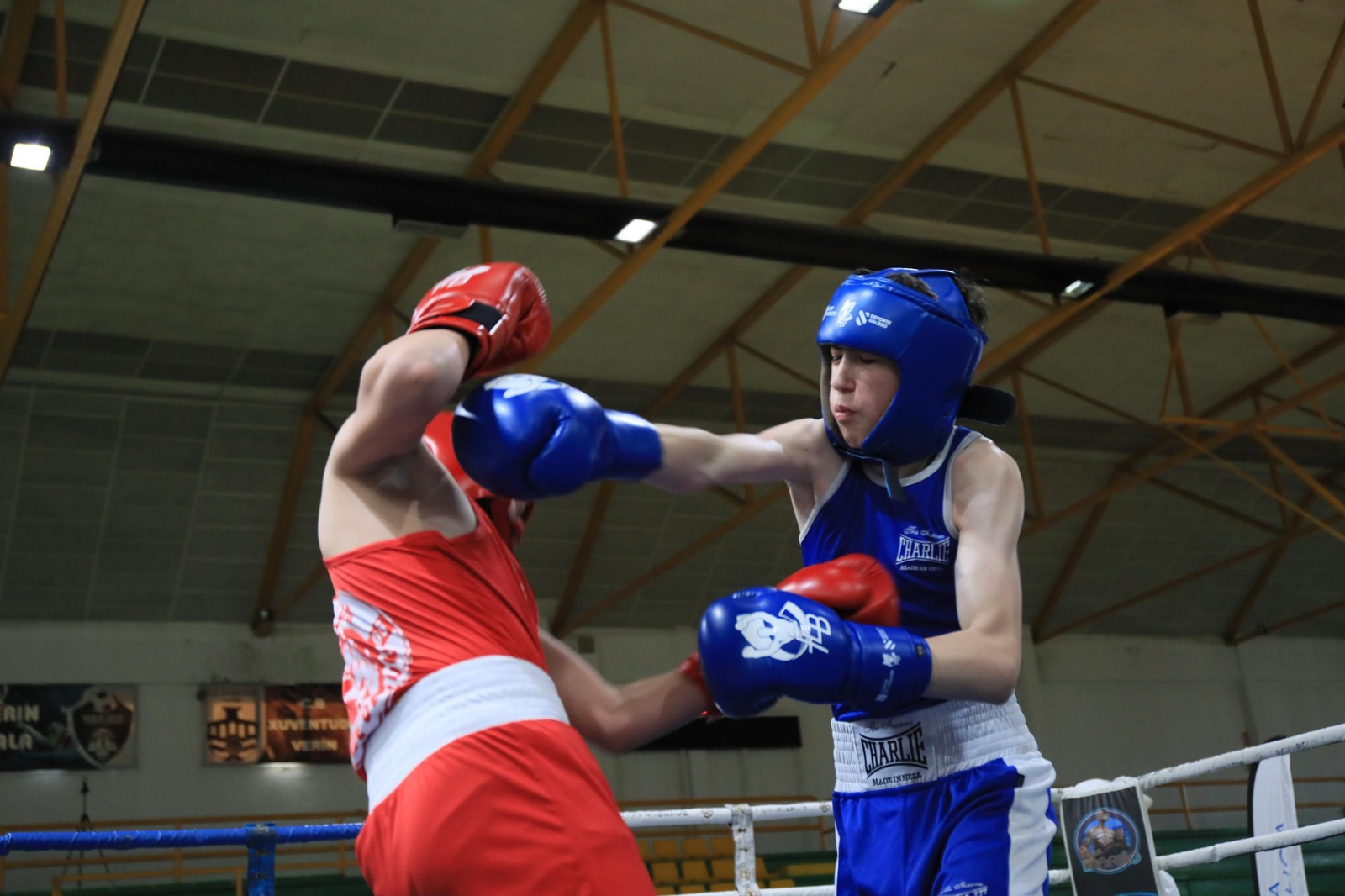 Galería | Verín disfruta de su primer Open de Boxeo