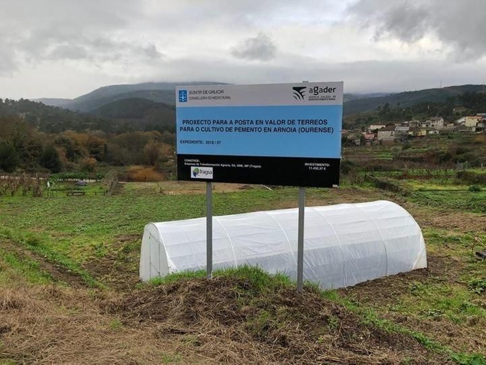 El invernadero de las semillas en la finca experimental de Arnoia.