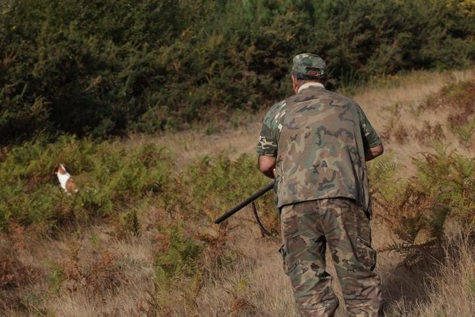 Un cazador en los montes de Ourense en una foto de archivo.