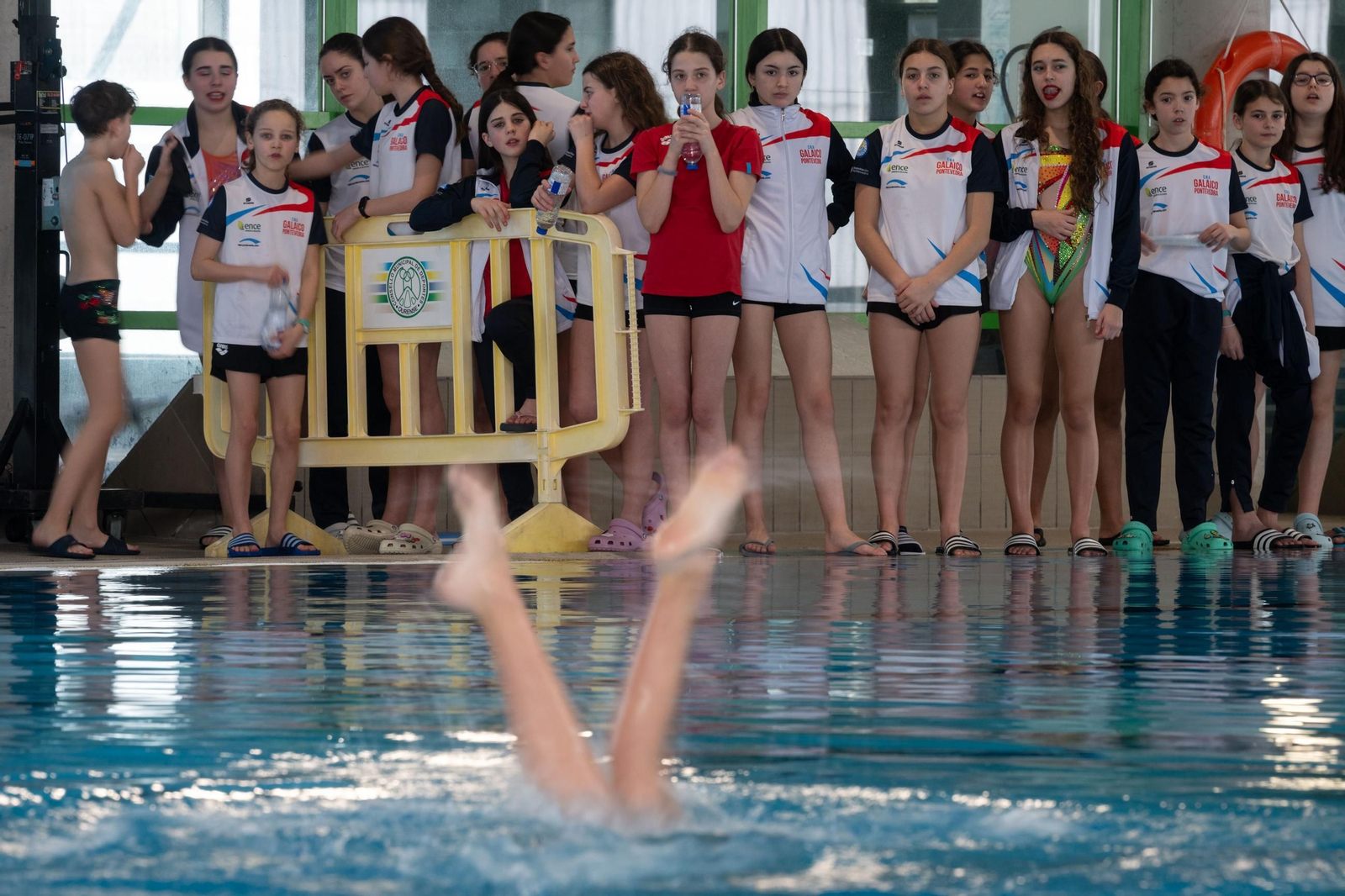 Galería |  La natación artística celebra su Campeonato Gallego de Invierno en Os Remedios