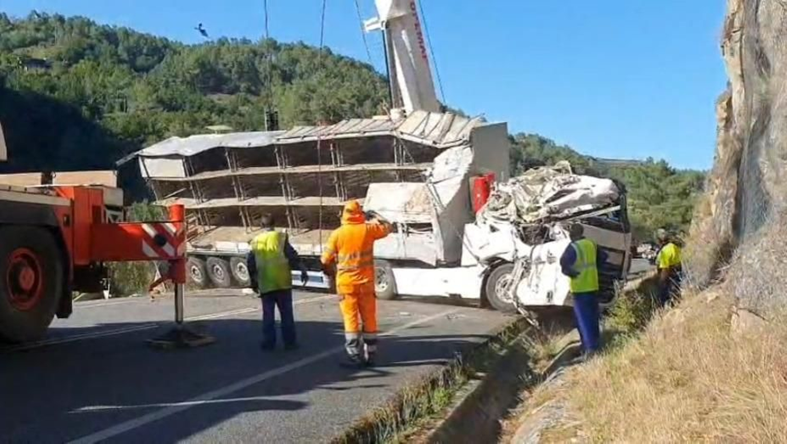 Galería | Así fue el accidente de un trailer en la N-120 que se saldó con varios cerdos flotando en el río  Miño, en fotos