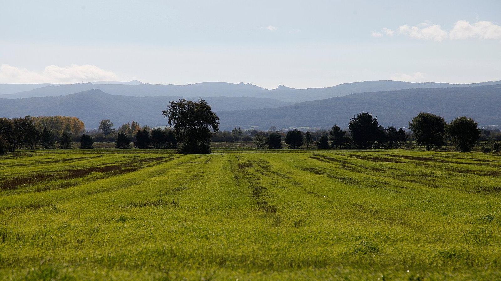 Paisaje en el municipio de A Limia.